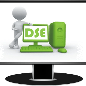 Display Screen Equipment